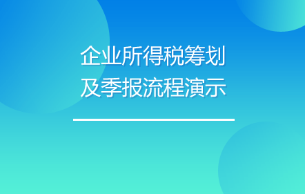 企业所得税筹划及季报流程演示