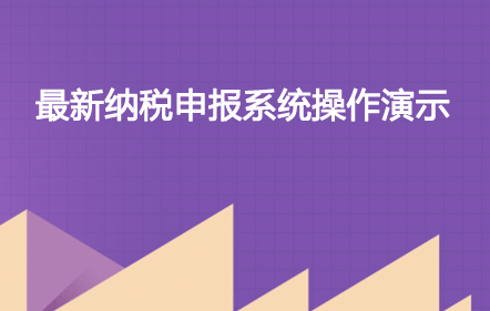 最新纳税申报系统操作演示