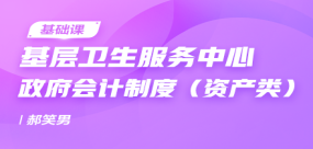 基层卫生服务中心政府会计制度（资产类）