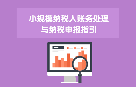 中小规模集成电路_小规模收入帐务处理